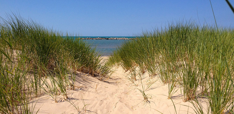 Espacio protegido de Loyola Dunes. Foto: Nature Conservancy